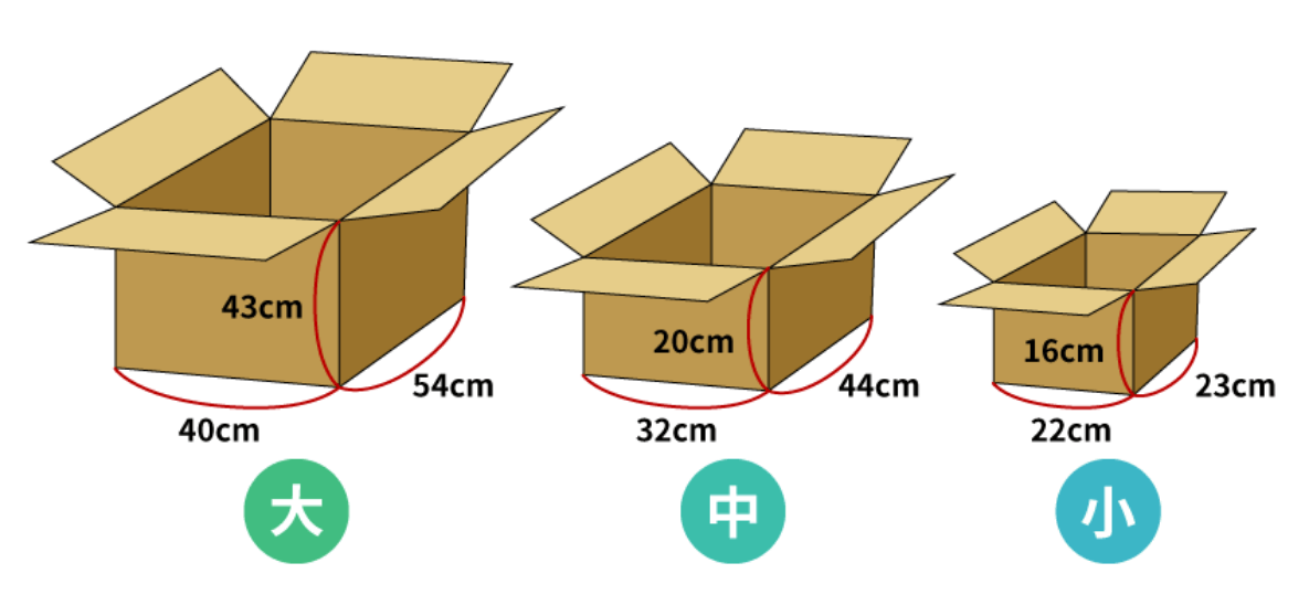 〇〇〇〇〇〇〇